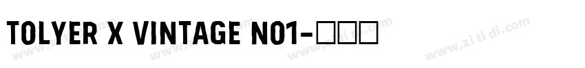 Tolyer X Vintage No1字体转换